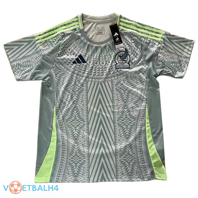 Mexico voetbal jersey thuis 2024/2025