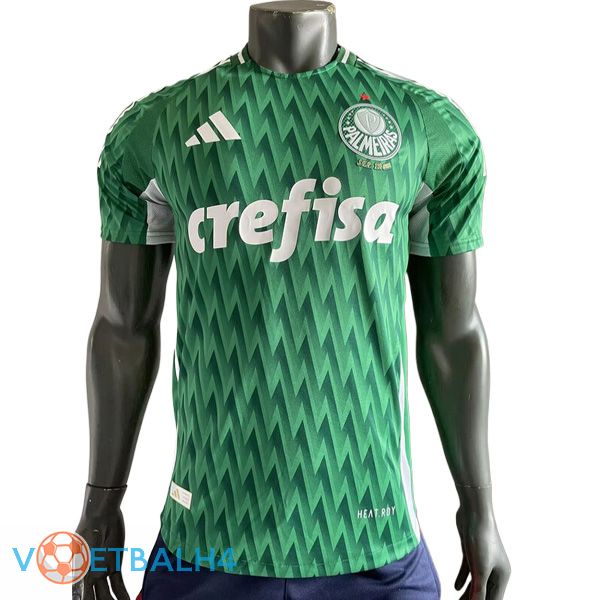 Palmeiras voetbal jersey Speciale editie groente 2024/2025