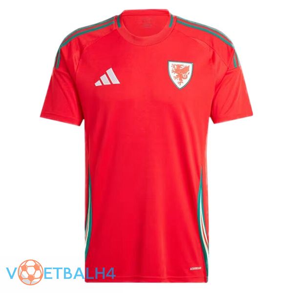 Wales thuis voetbal jersey rood 2024/2025