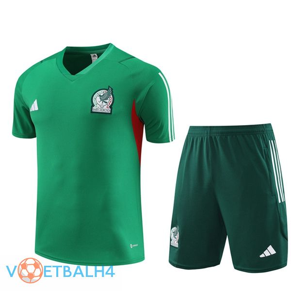 Mexico Training T Shirt + korte broek groente 2023/2024