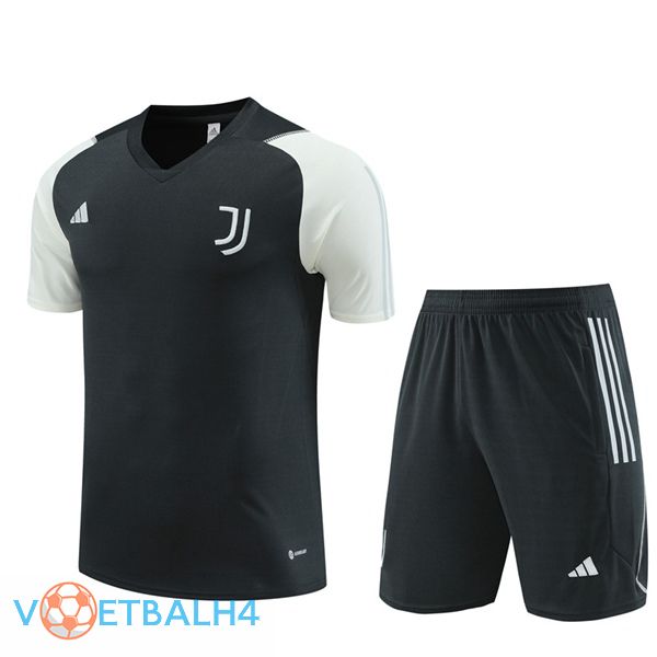 Juventus Training T Shirt + korte broek grijs 2023/2024