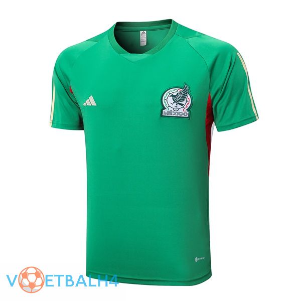 Mexico Training T Shirt groente 2023/2024