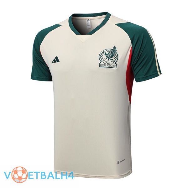 Mexico Training T Shirt bruin 2023/2024