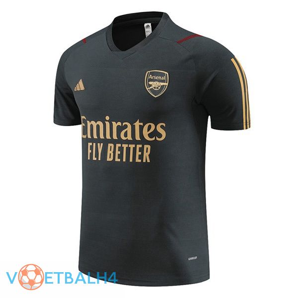 Arsenal Training T Shirt grijs 2023/2024