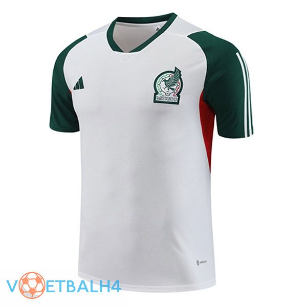 Mexico Training T Shirt wit 2023/2024