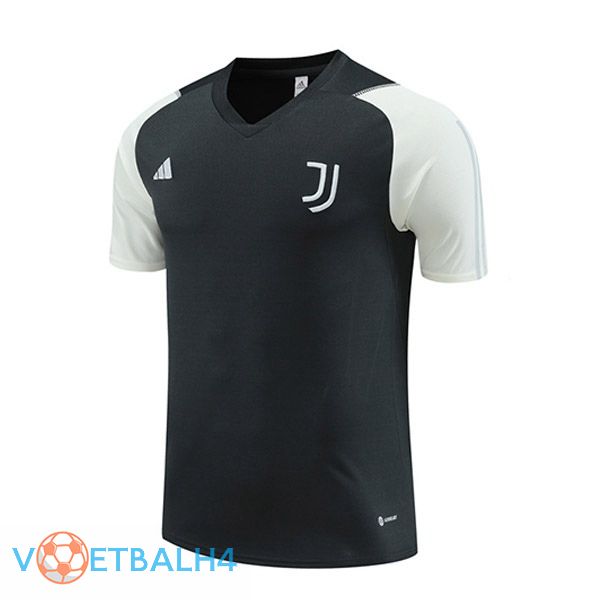 Juventus Training T Shirt grijs 2023/2024