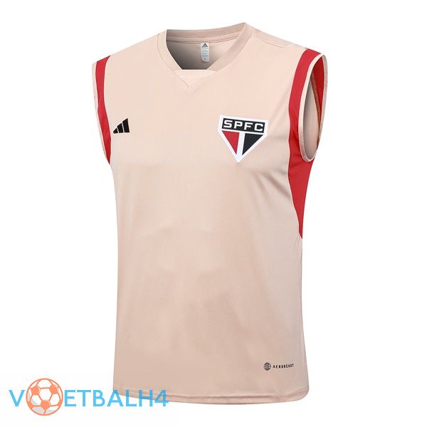 Sao Paulo FC voetbal Vest Rose 2023/2024