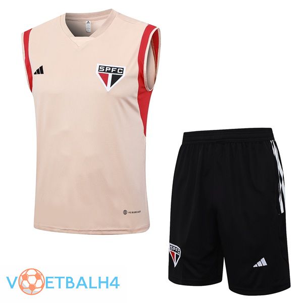 Sao Paulo FC voetbal Vest + korte broek Rose 2023/2024