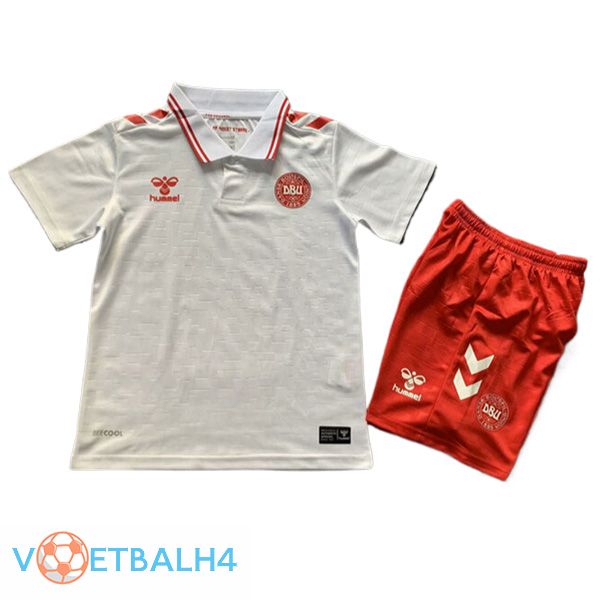 Denemarken kinderen uit voetbal jersey 2024/2025