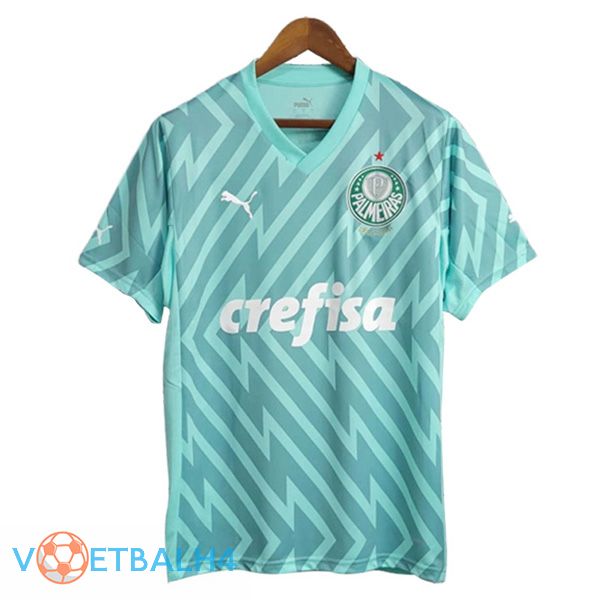 Palmeiras doelman voetbal jersey groente 2024/2025