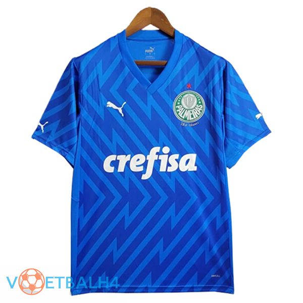 Palmeiras doelman voetbal jersey blauw 2024/2025