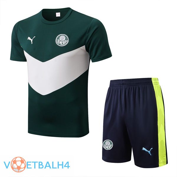 Palmeiras Training T-Shirts + korte broek groente 2022-2023