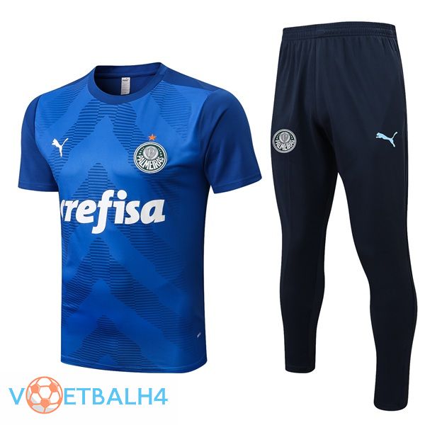 Palmeiras Training T Shirt + broek blauw 2022/2023