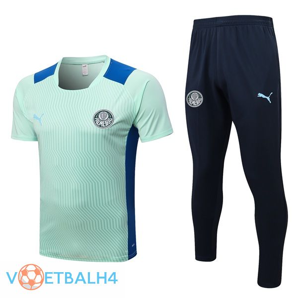 Palmeiras Training T Shirt + broek groente 2022/2023