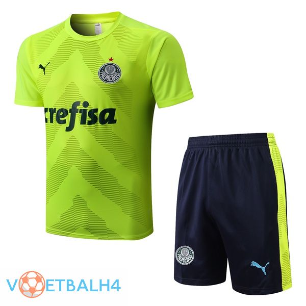 Palmeiras Training T Shirt + korte broek groente 2022/2023