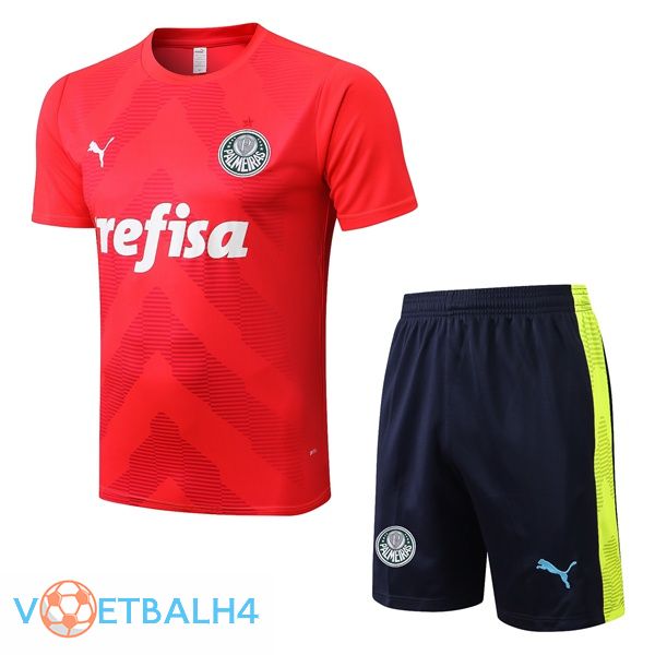 Palmeiras Training T Shirt + korte broek rood 2022/2023