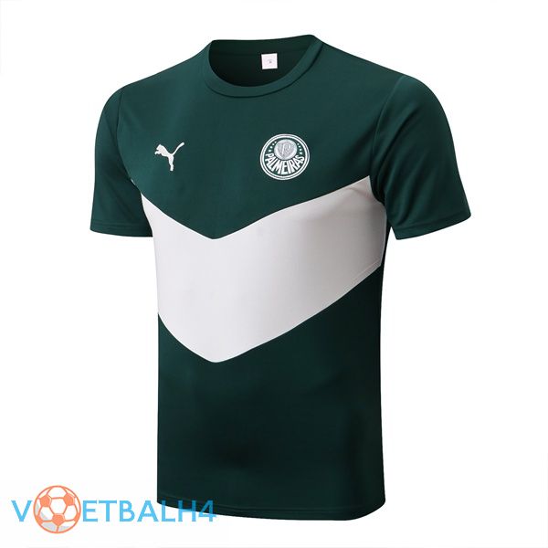 Palmeiras Training T-Shirts groente 2022-2023