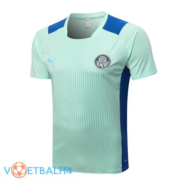 Palmeiras Training T Shirt groente 2022/2023