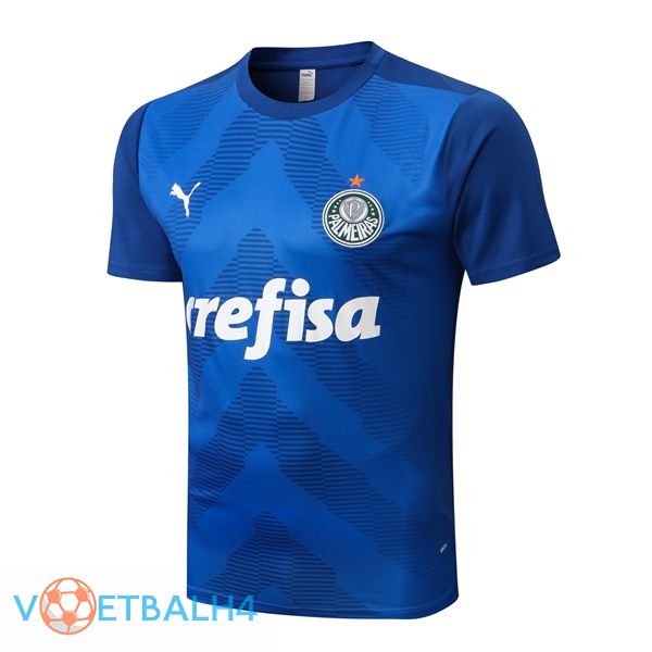 Palmeiras Training T Shirt blauw 2022/2023