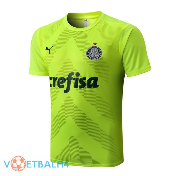 Palmeiras Training T Shirt groente 2022/2023