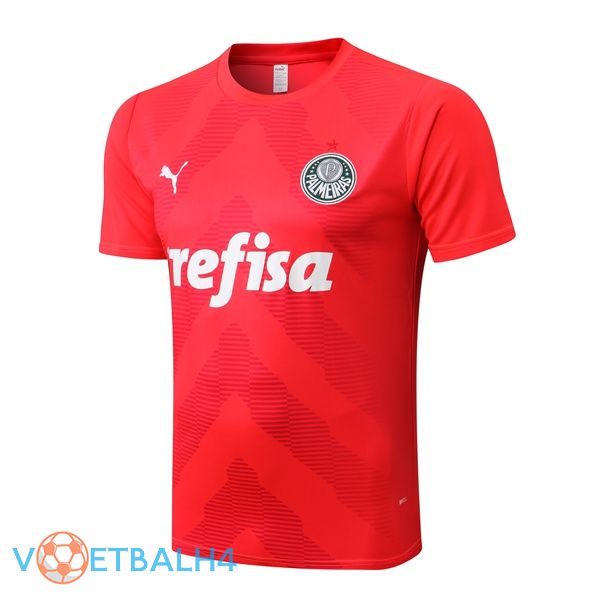 Palmeiras Training T Shirt rood 2022/2023