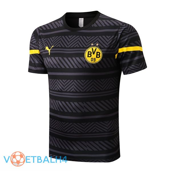 Dortmund BVB Training T Shirt grijs 2022/2023