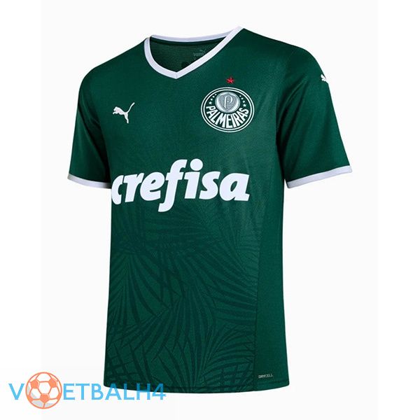 Palmeiras thuis jerseys groente 2022-2023