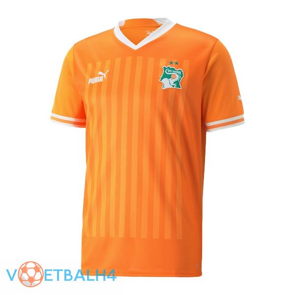 Ivory Coast jersey thuis geel 2022/2023