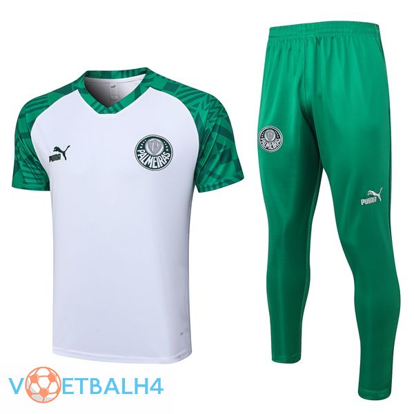 Palmeiras Training T Shirt + broek wit 2023/2024