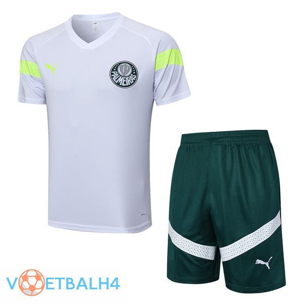 Palmeiras Training T Shirt + korte broek wit 2023/2024