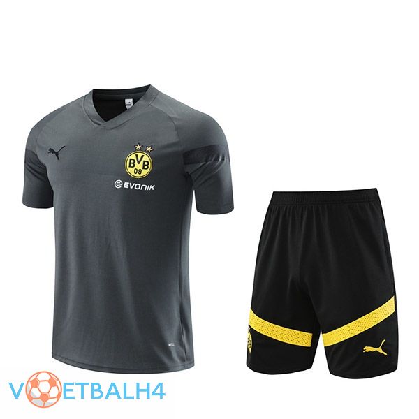 Dortmund BVB Training T Shirt + korte broek grijs 2023/2024