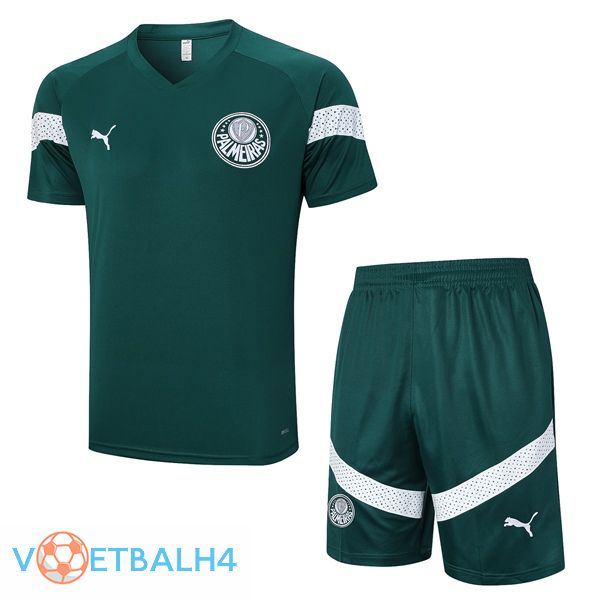 Palmeiras Training T Shirt + korte broek groente 2023/2024