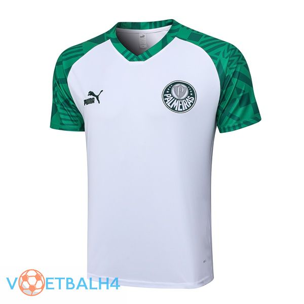 Palmeiras Training T Shirt wit 2023/2024