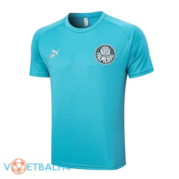 Palmeiras Training T Shirt Cyan 2023/2024