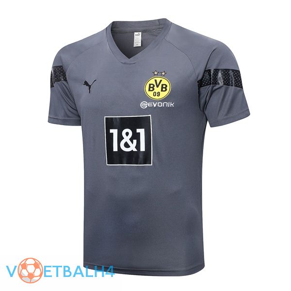 Dortmund BVB Training T Shirt grijs 2023/2024