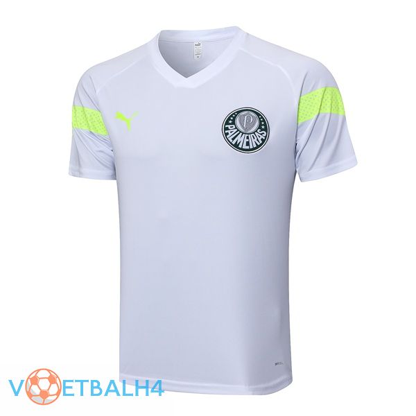 Palmeiras Training T Shirt wit 2023/2024