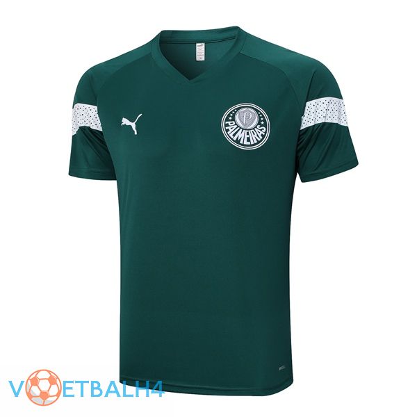 Palmeiras Training T Shirt groente 2023/2024