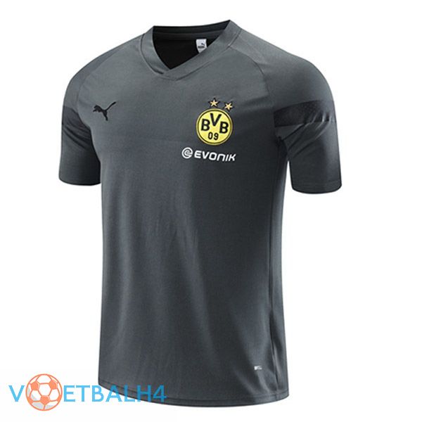 Dortmund BVB Training T Shirt grijs 2023/2024