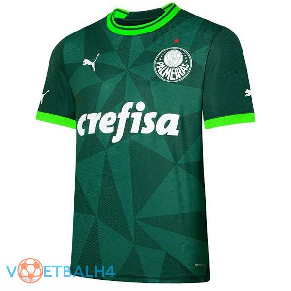 Palmeiras voetbal jersey thuis groente 2023/2024