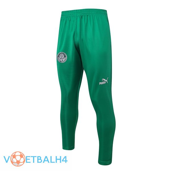 Palmeiras Training broek groente 2023/2024