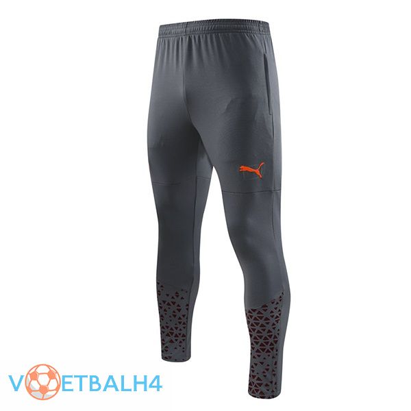 Manchester City Training broek grijs 2023/2024