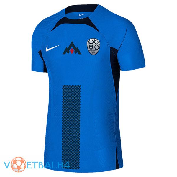 Slovenië uit voetbal jersey 2024/2025