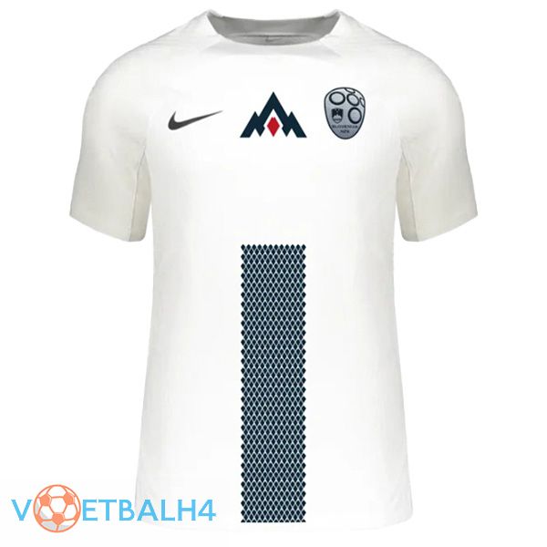 Slovenië thuis voetbal jersey 2024/2025