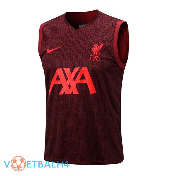 FC Liverpool voetbal Vest rood 2022-2023