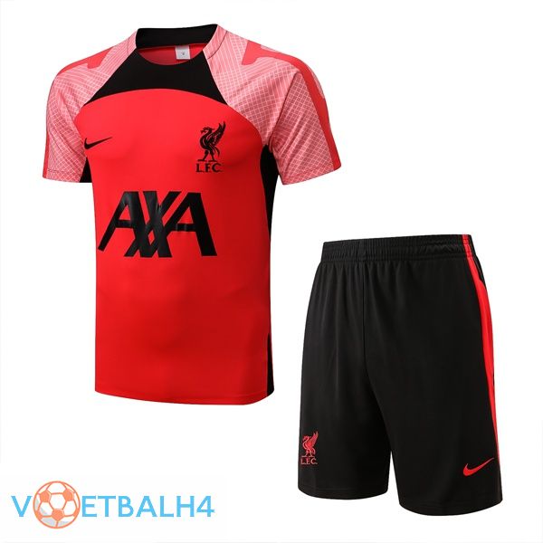 FC Liverpool Training T-Shirts + korte broek rood 2022-2023