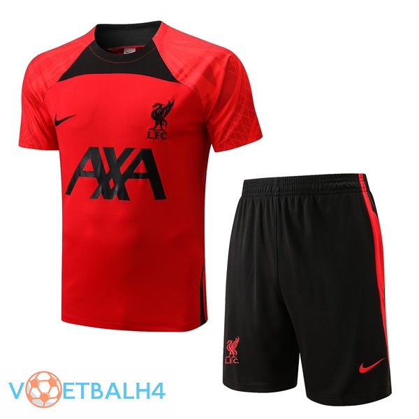 FC Liverpool Training T Shirt + korte broek rood 2022/2023