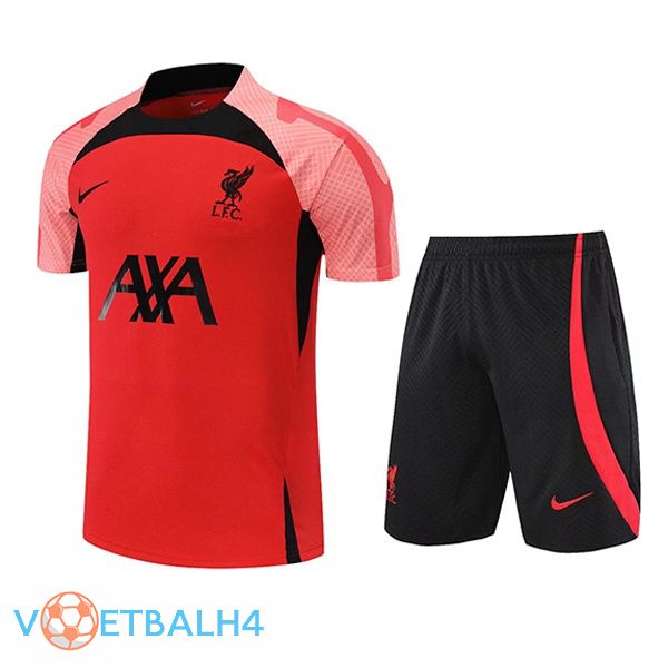 FC Liverpool Training T Shirt + korte broek rood 2022/2023