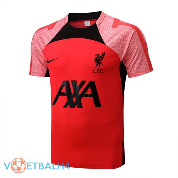 FC Liverpool Training T-Shirts rood 2022-2023