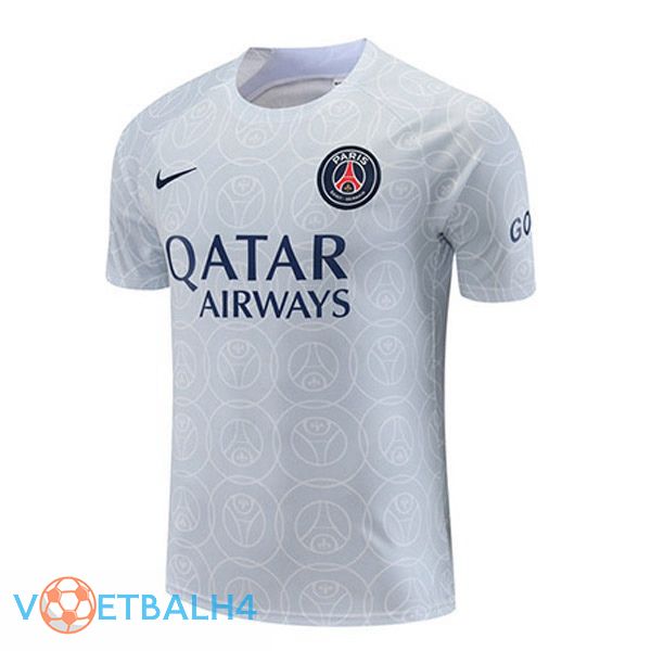 Paris PSG Training T Shirt grijs 2022/2023