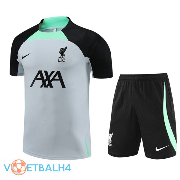 FC Liverpool Training T Shirt + korte broek grijs 2023/2024